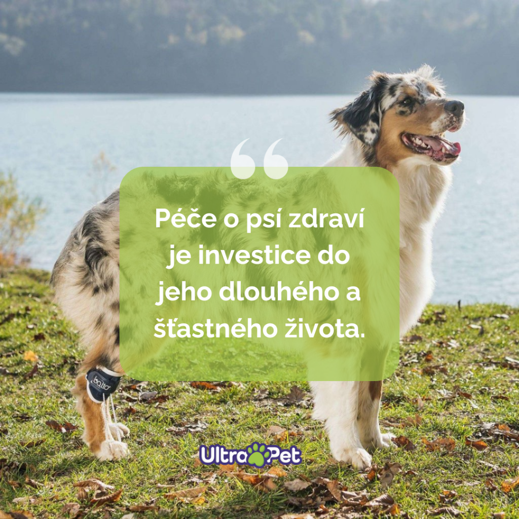 Grafické návrhy na příspěvky na sociální sítě