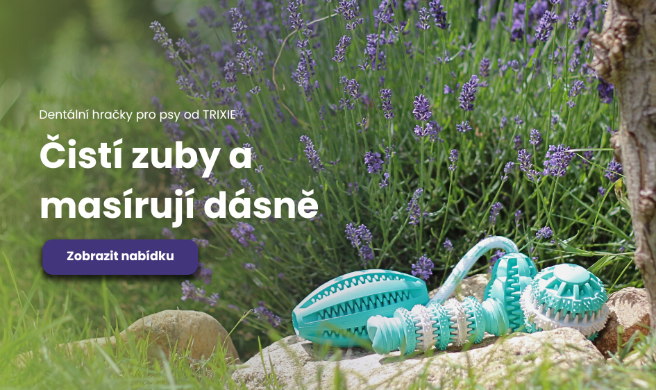 E-shopy – ukázka grafických návrhů.