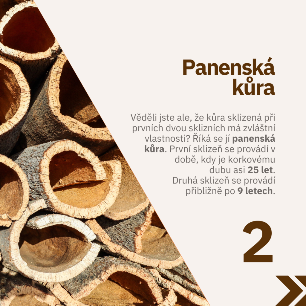 Grafické návrhy na příspěvky na sociální sítě