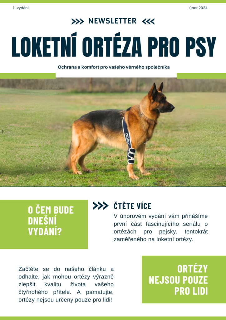 Tisková grafika služby virtuální asistentky pro e-shopy – Asistentka MB