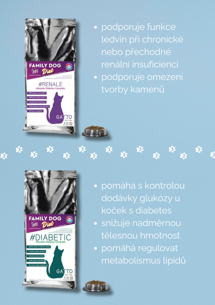 Tisková grafika služby virtuální asistentky pro e-shopy – Asistentka MB