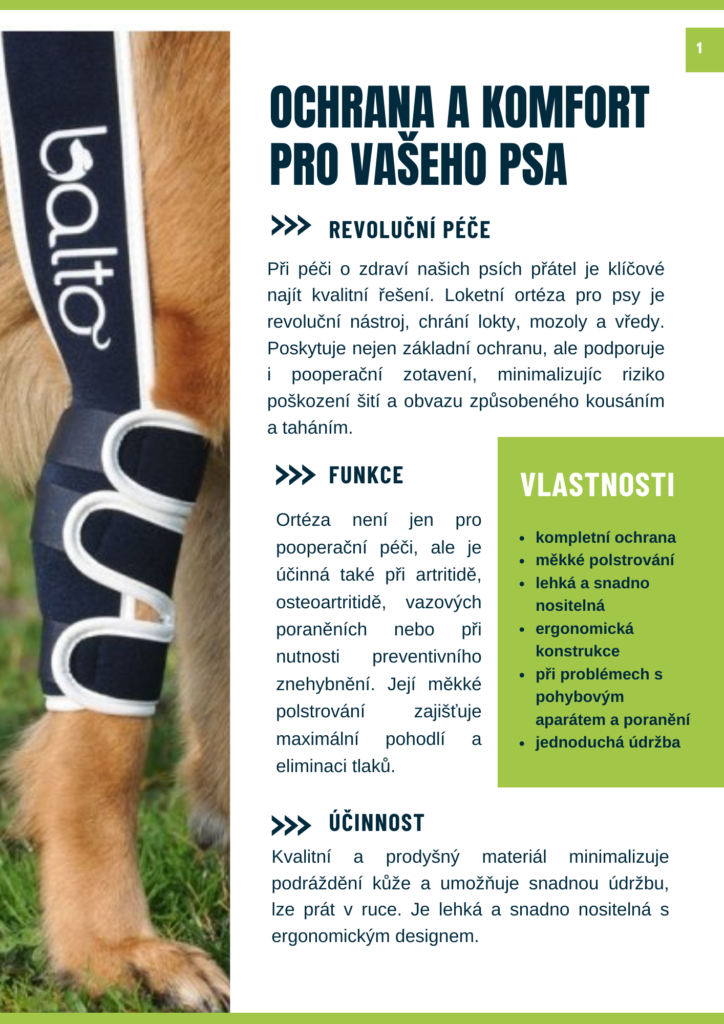 Tisková grafika služby virtuální asistentky pro e-shopy – Asistentka MB