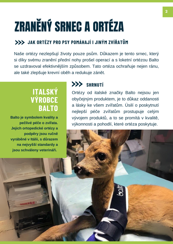 Tisková grafika služby virtuální asistentky pro e-shopy – Asistentka MB