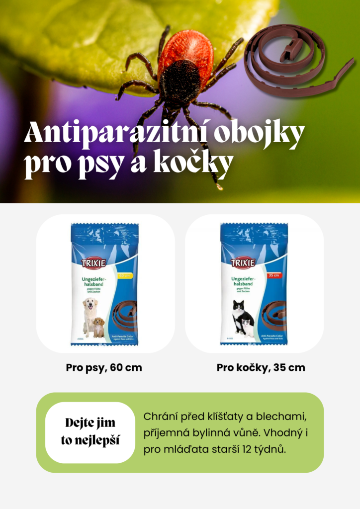 Tisková grafika služby virtuální asistentky pro e-shopy – Asistentka MB